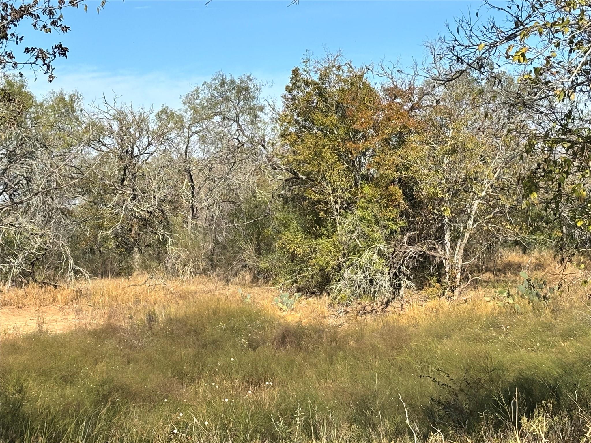 4041 Good Luck Rd Property Photo 14