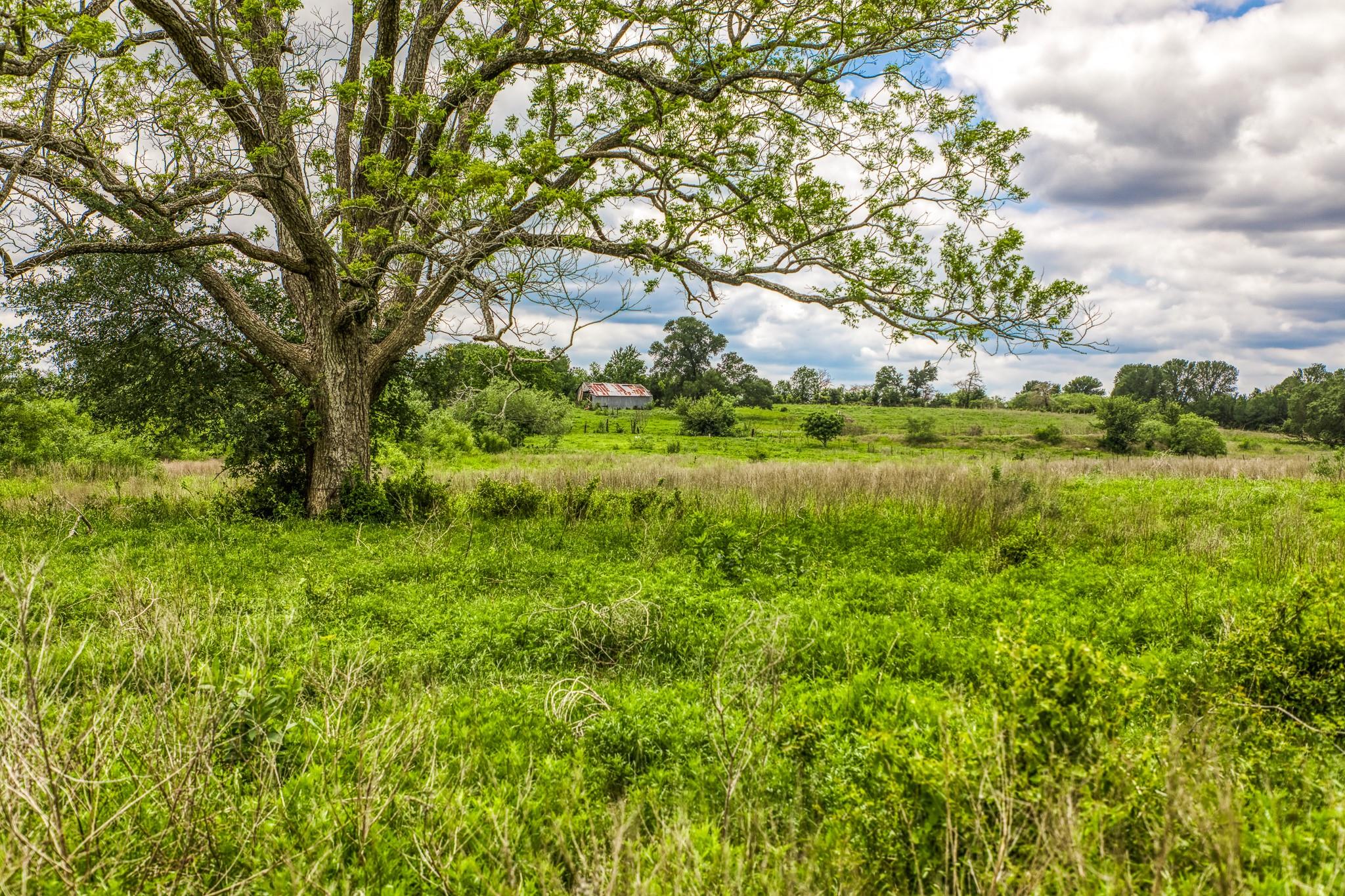 5233 County Road 106 None Property Photo 8