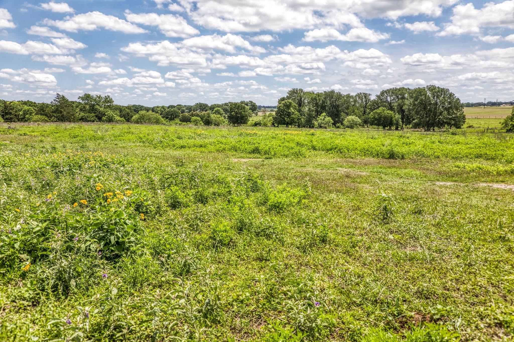 5233 County Road 106 None Property Photo 13