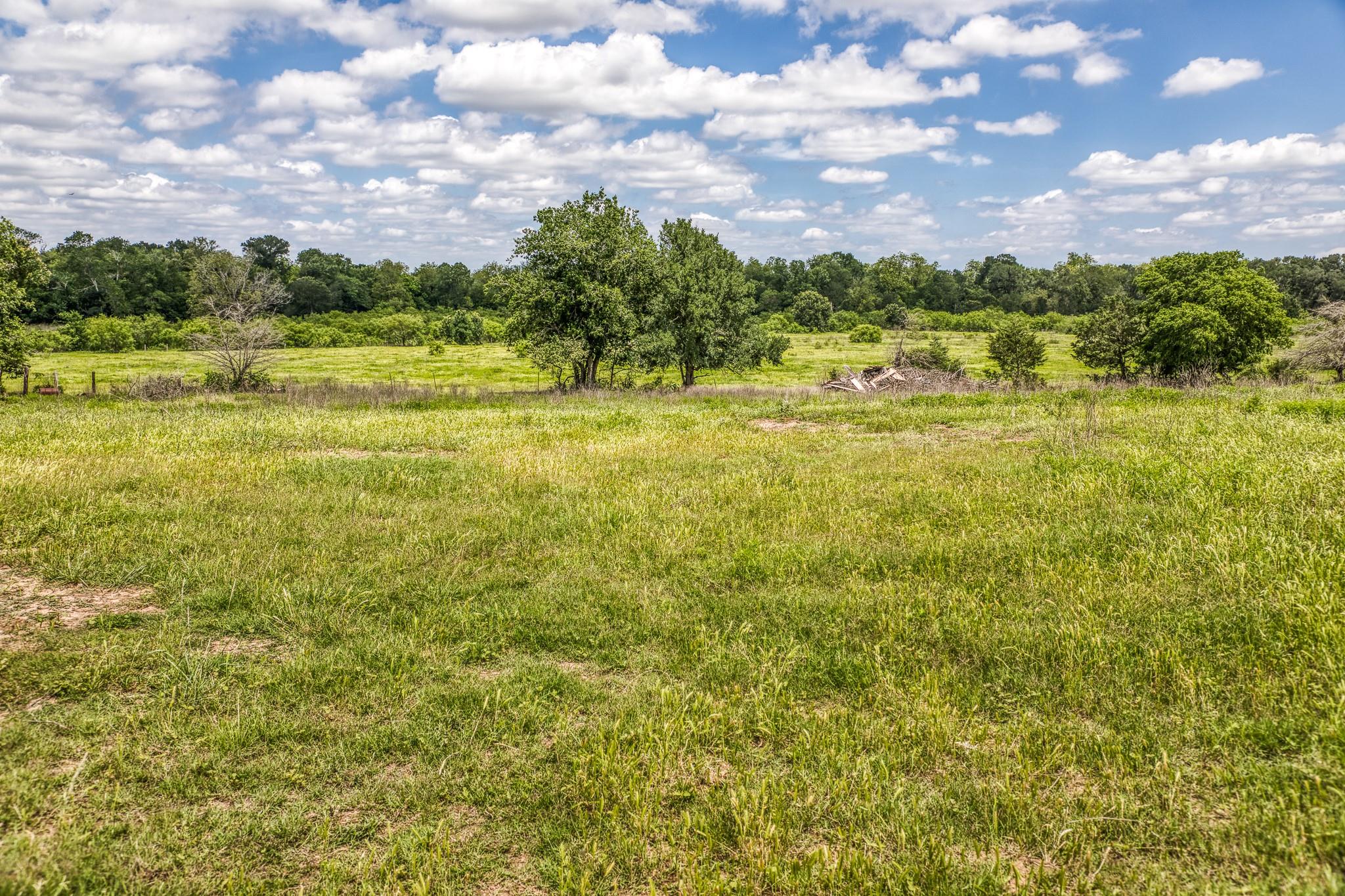 5233 County Road 106 None Property Photo 15