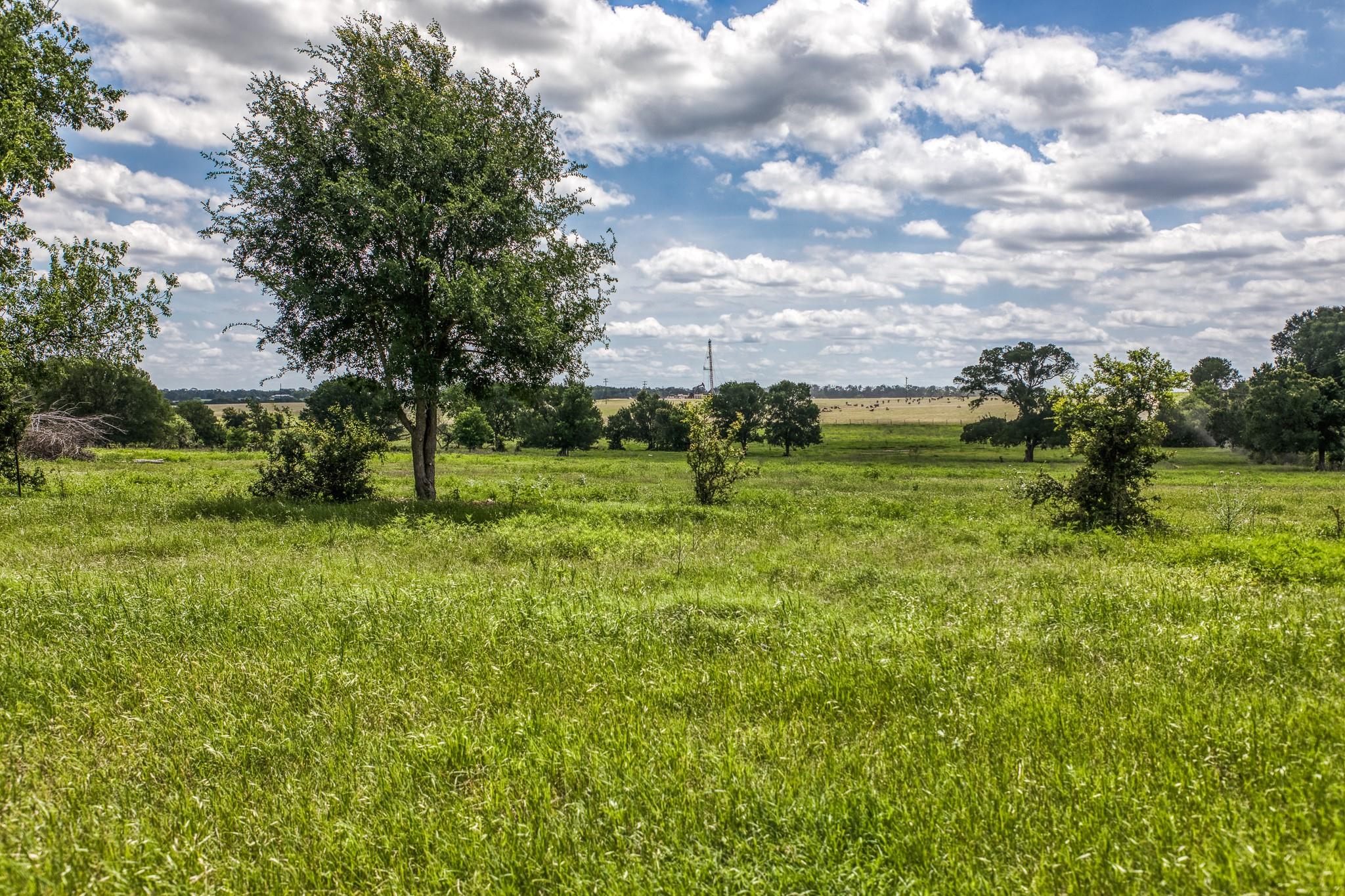 5233 County Road 106 None Property Photo 16