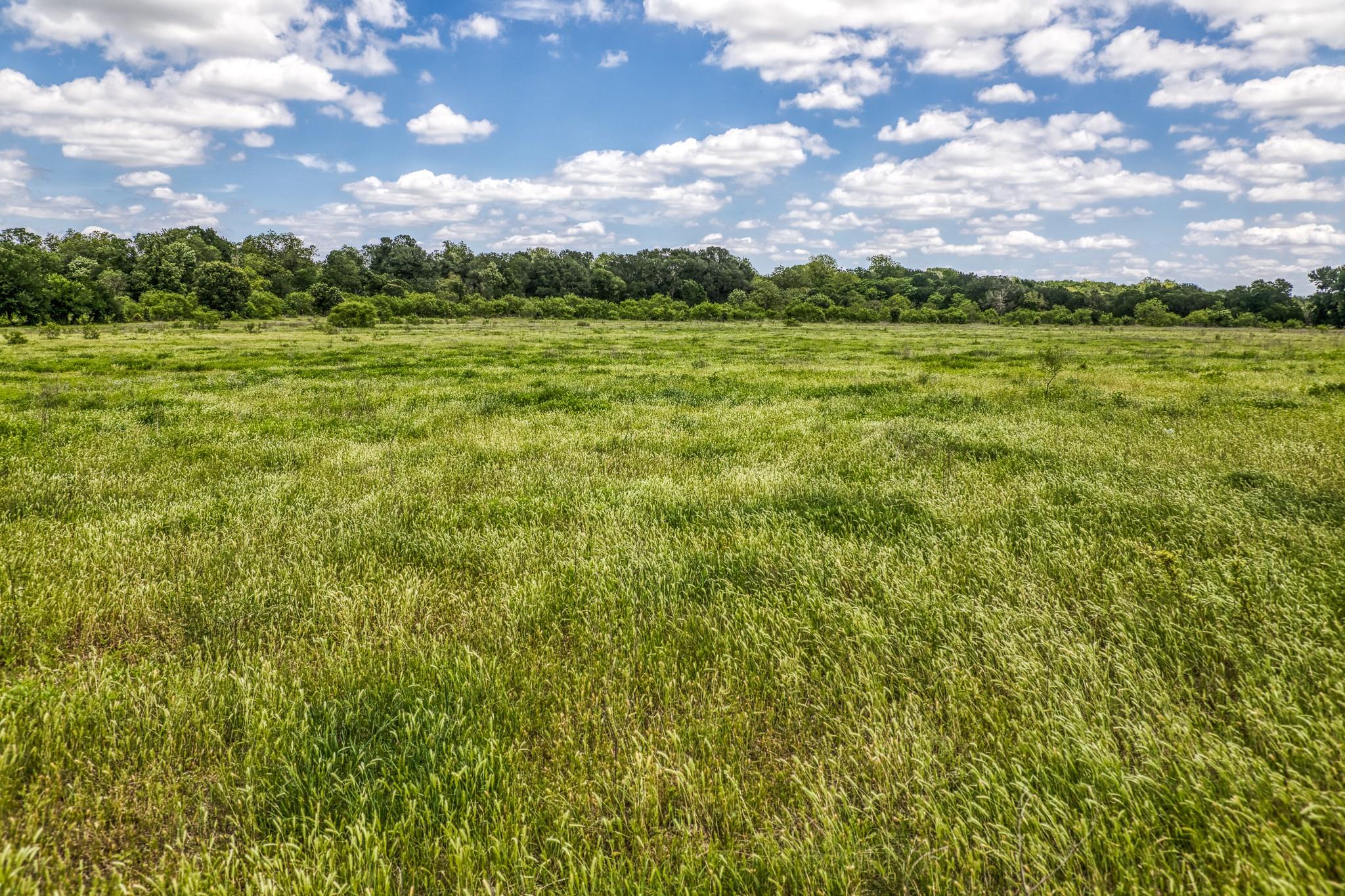 5233 County Road 106 None Property Photo 17