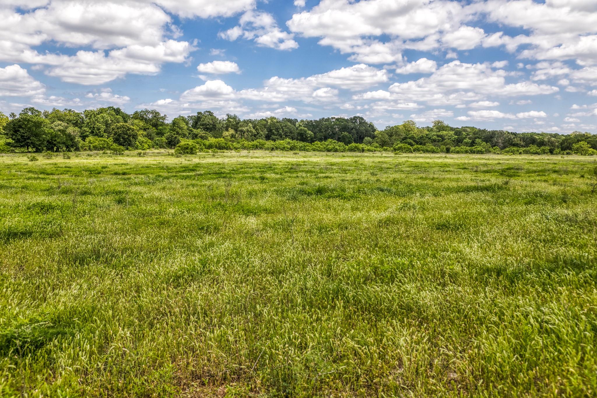 5233 County Road 106 None Property Photo 18