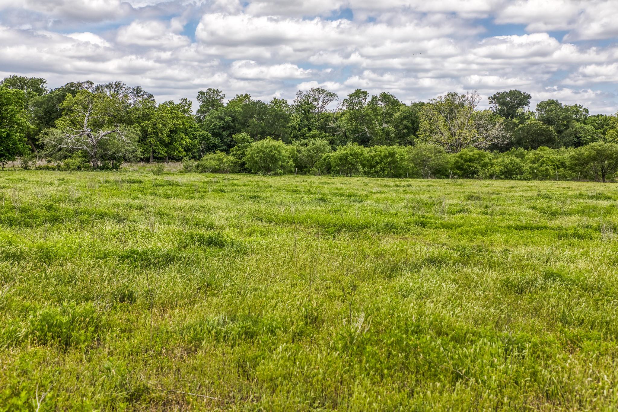 5233 County Road 106 None Property Photo 19