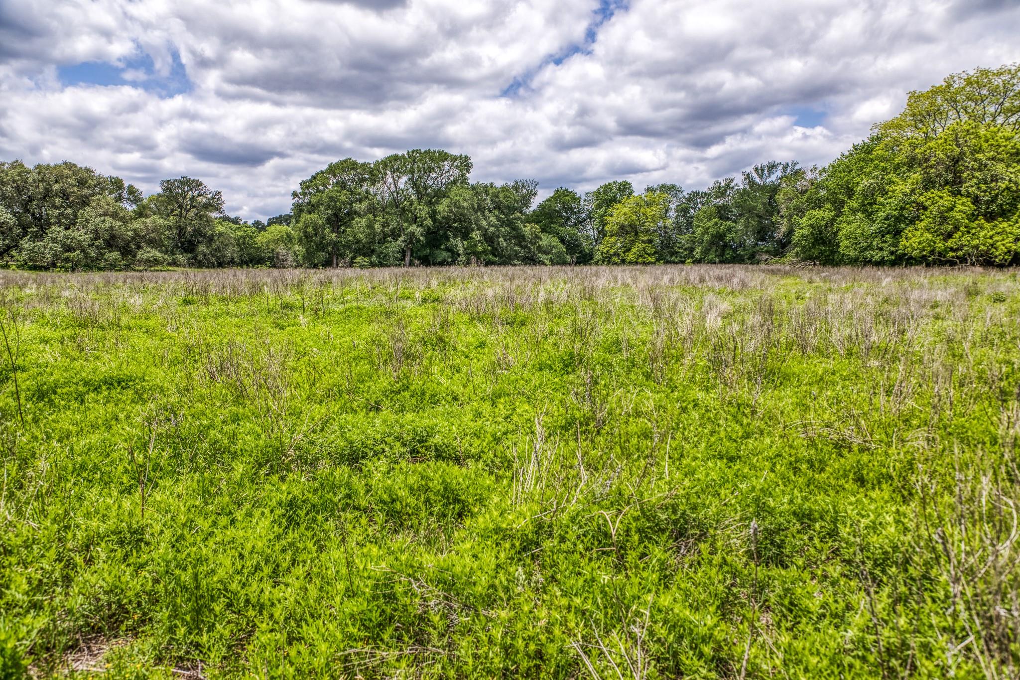 5233 County Road 106 None Property Photo 22