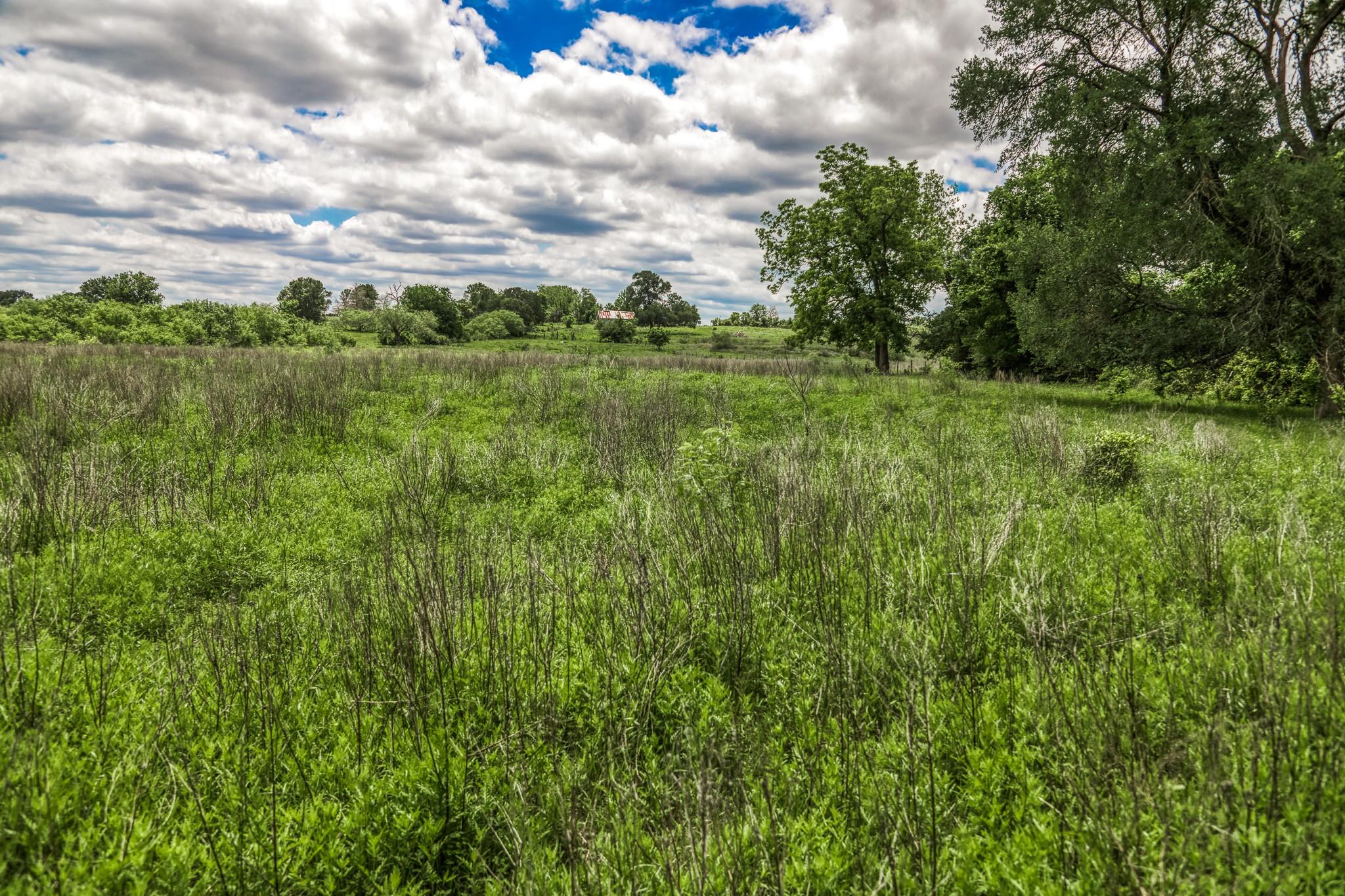 5233 County Road 106 None Property Photo 32