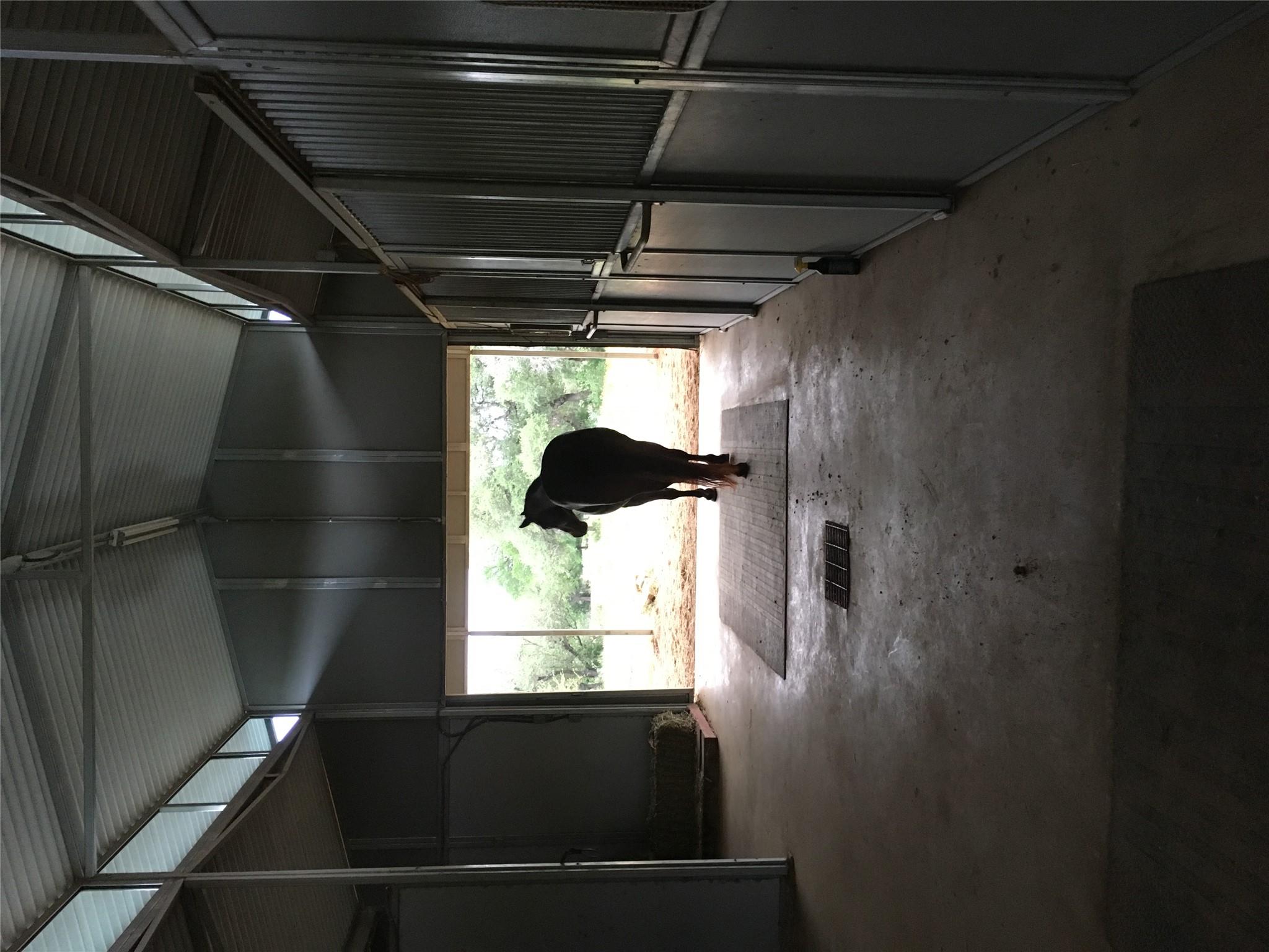 0 Escalar Dr Property Photo 13