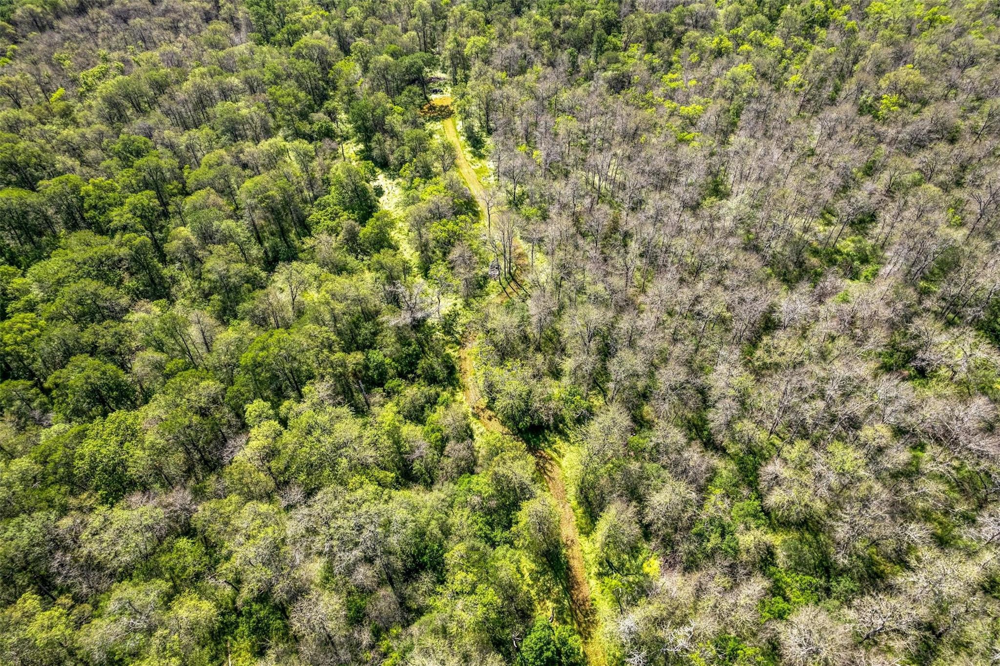 201 Fawn Ridge Rd Property Photo 14