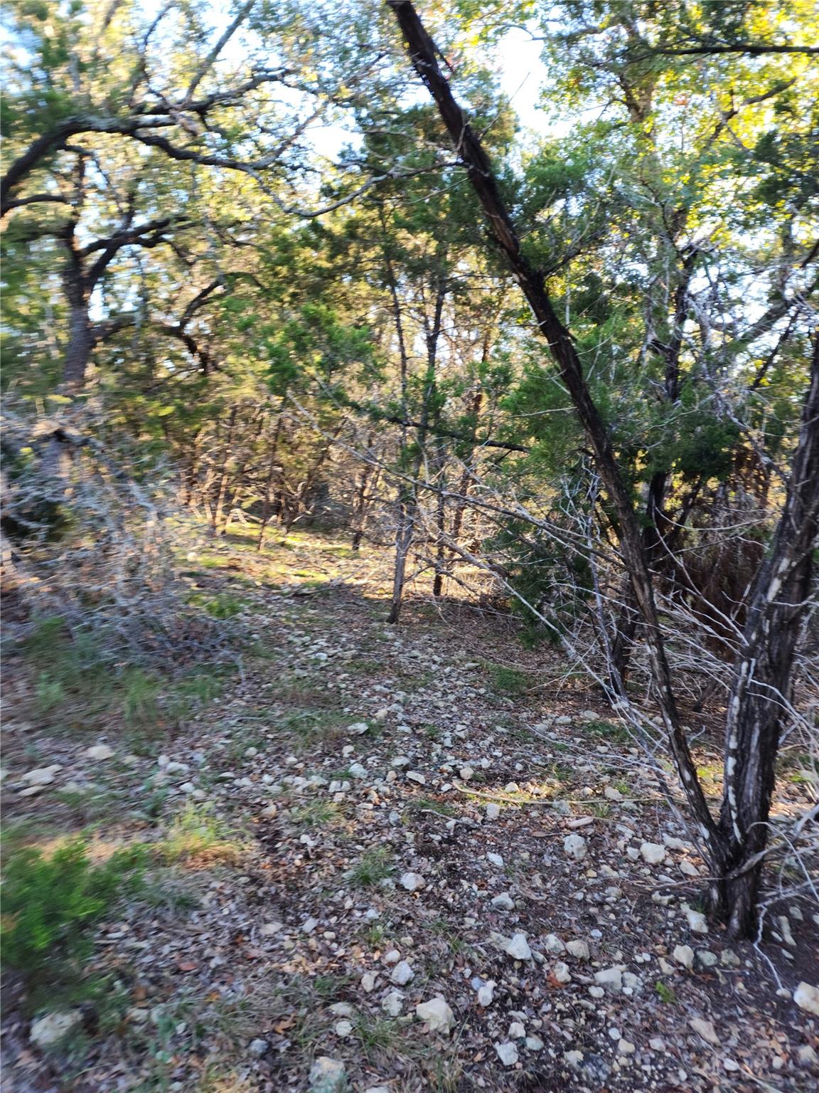 00 Apple Springs Dr Property Photo 6