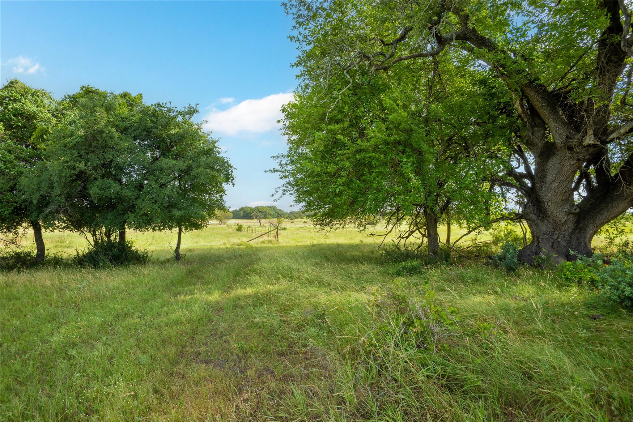 0000 Vaquero Vista Ln Property Photo 16