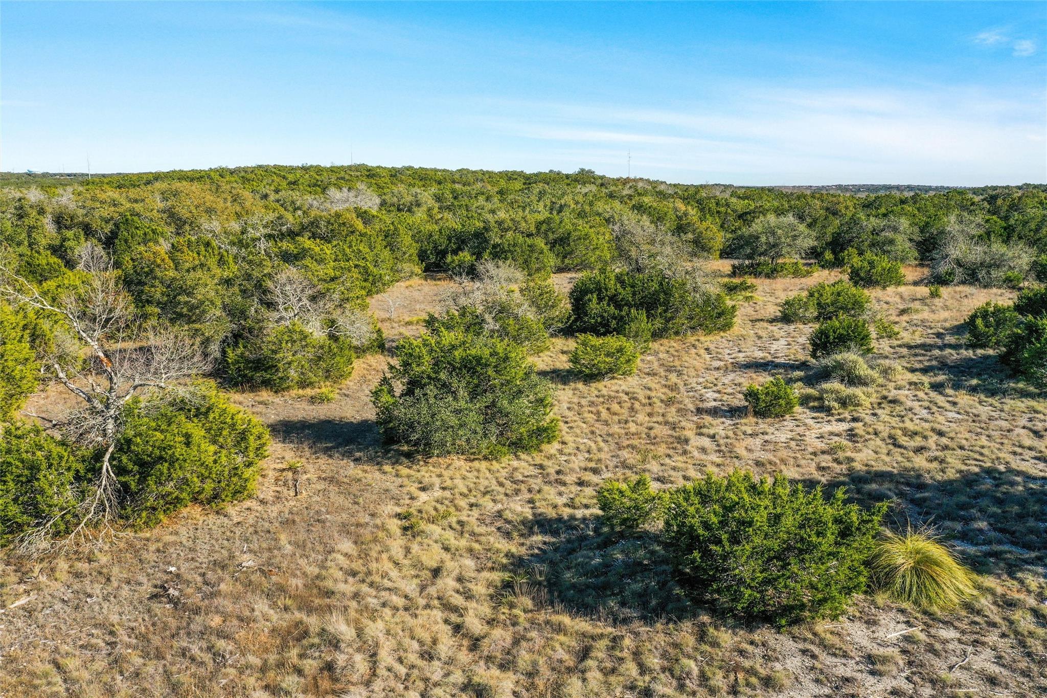 10107 Davy Crockett Dr Property Photo 10