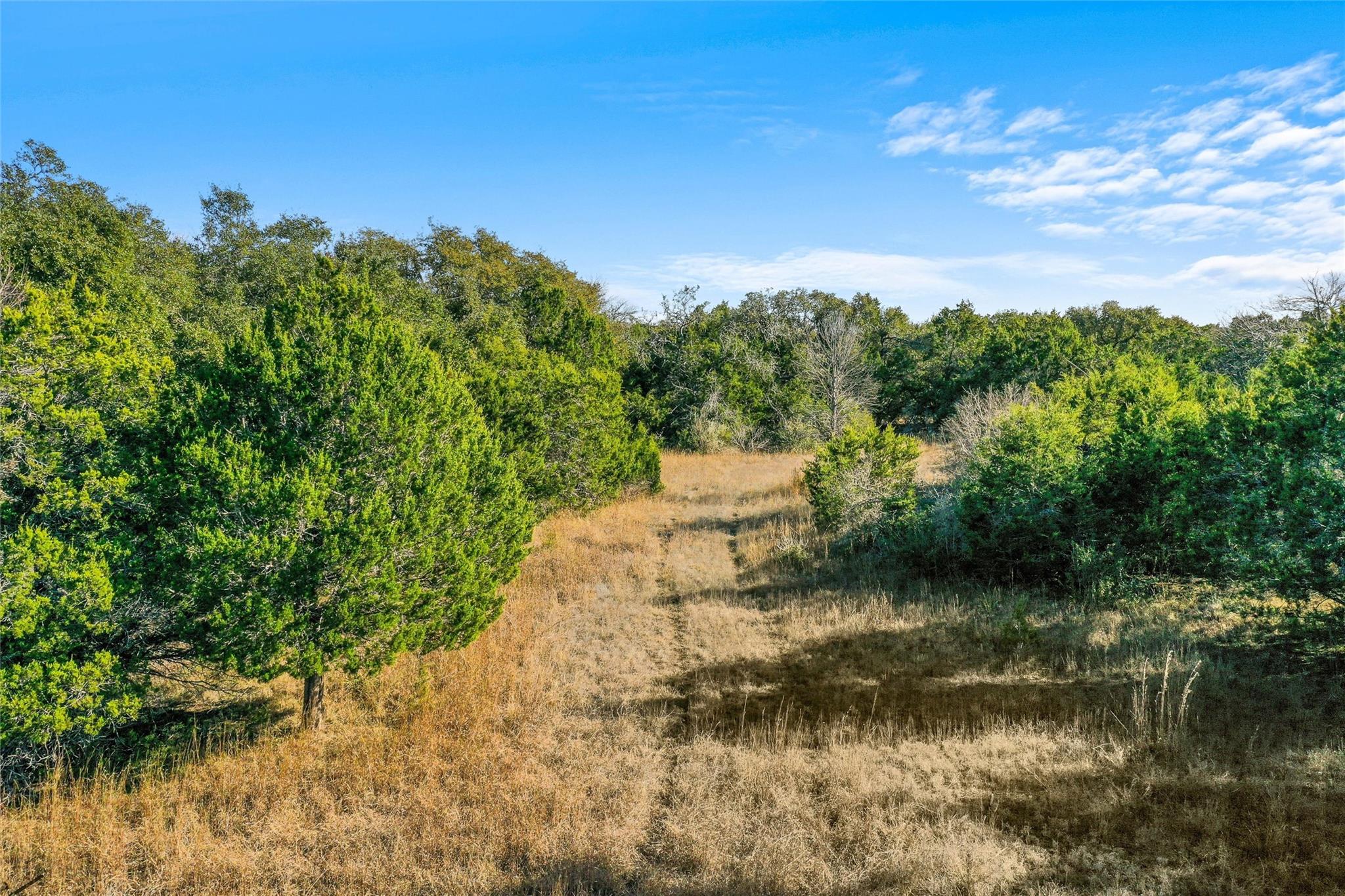 10107 Davy Crockett Dr Property Photo 14