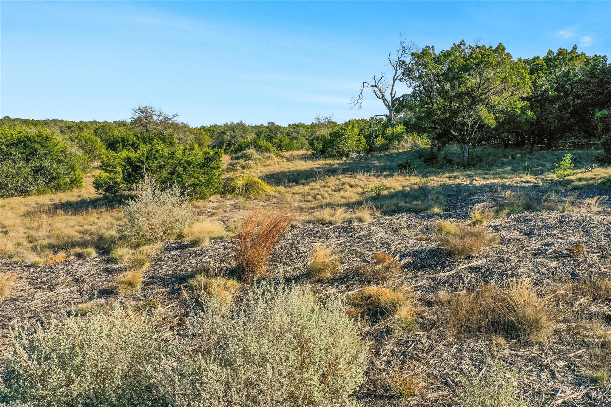 10107 Davy Crockett Dr Property Photo 16