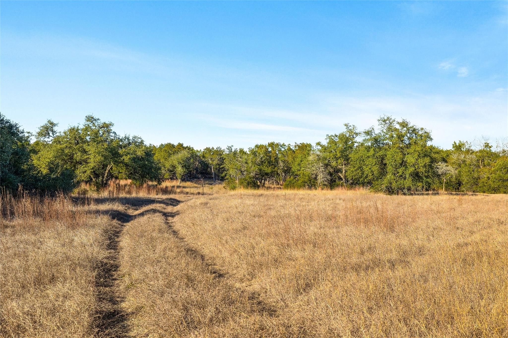 10107 Davy Crockett Dr Property Photo 20
