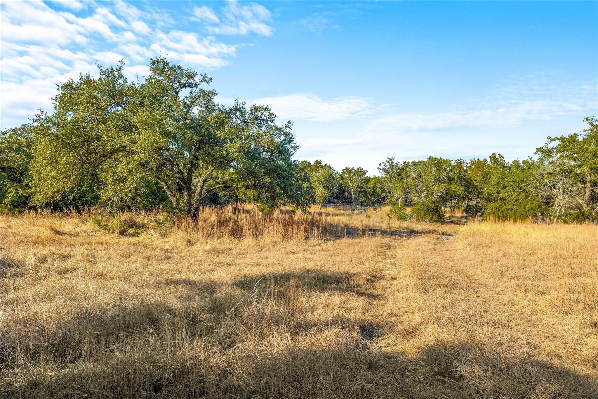 10107 Davy Crockett Dr Property Photo 21
