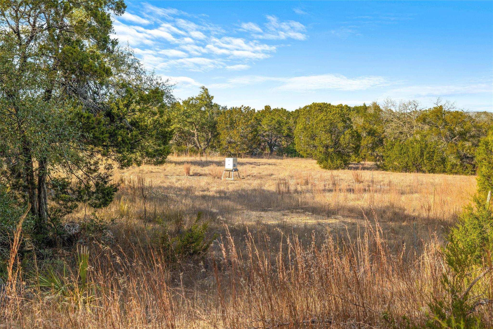 10107 Davy Crockett Dr Property Photo 22