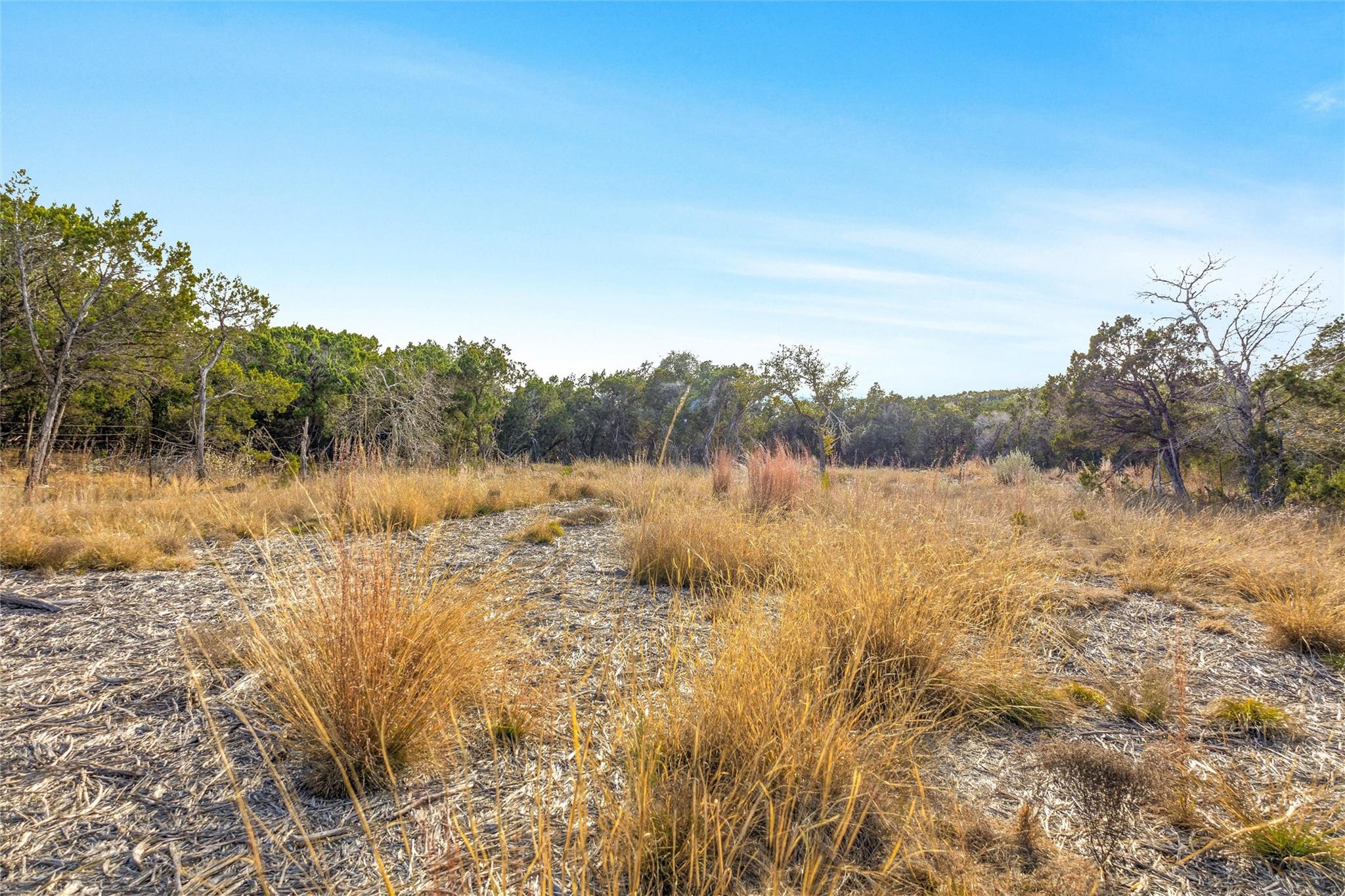 10107 Davy Crockett Dr Property Photo 25