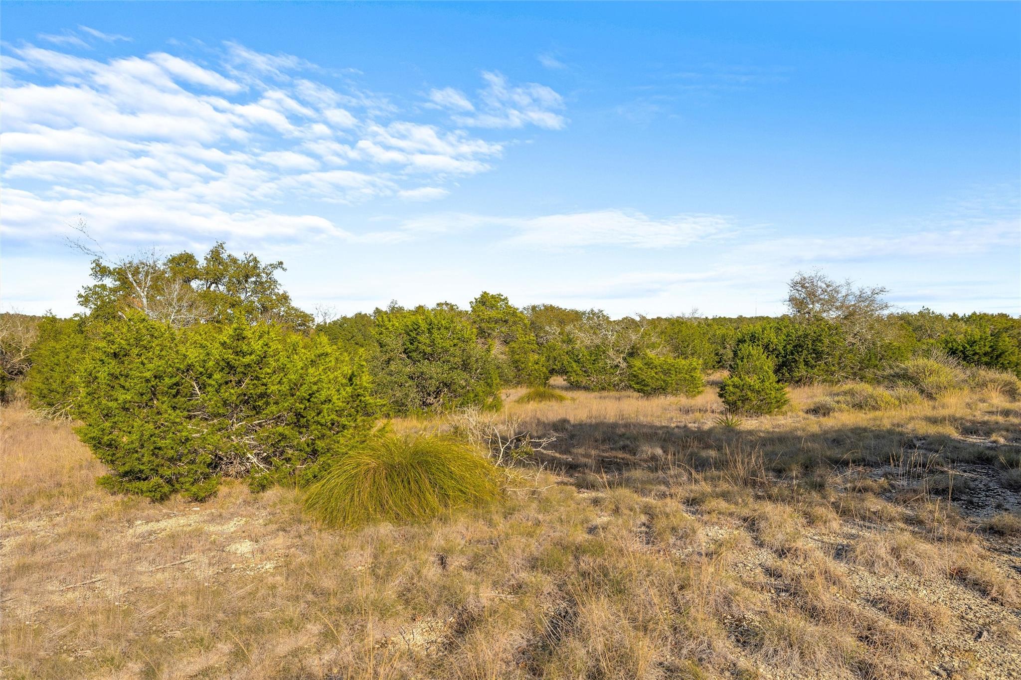 10107 Davy Crockett Dr Property Photo 27