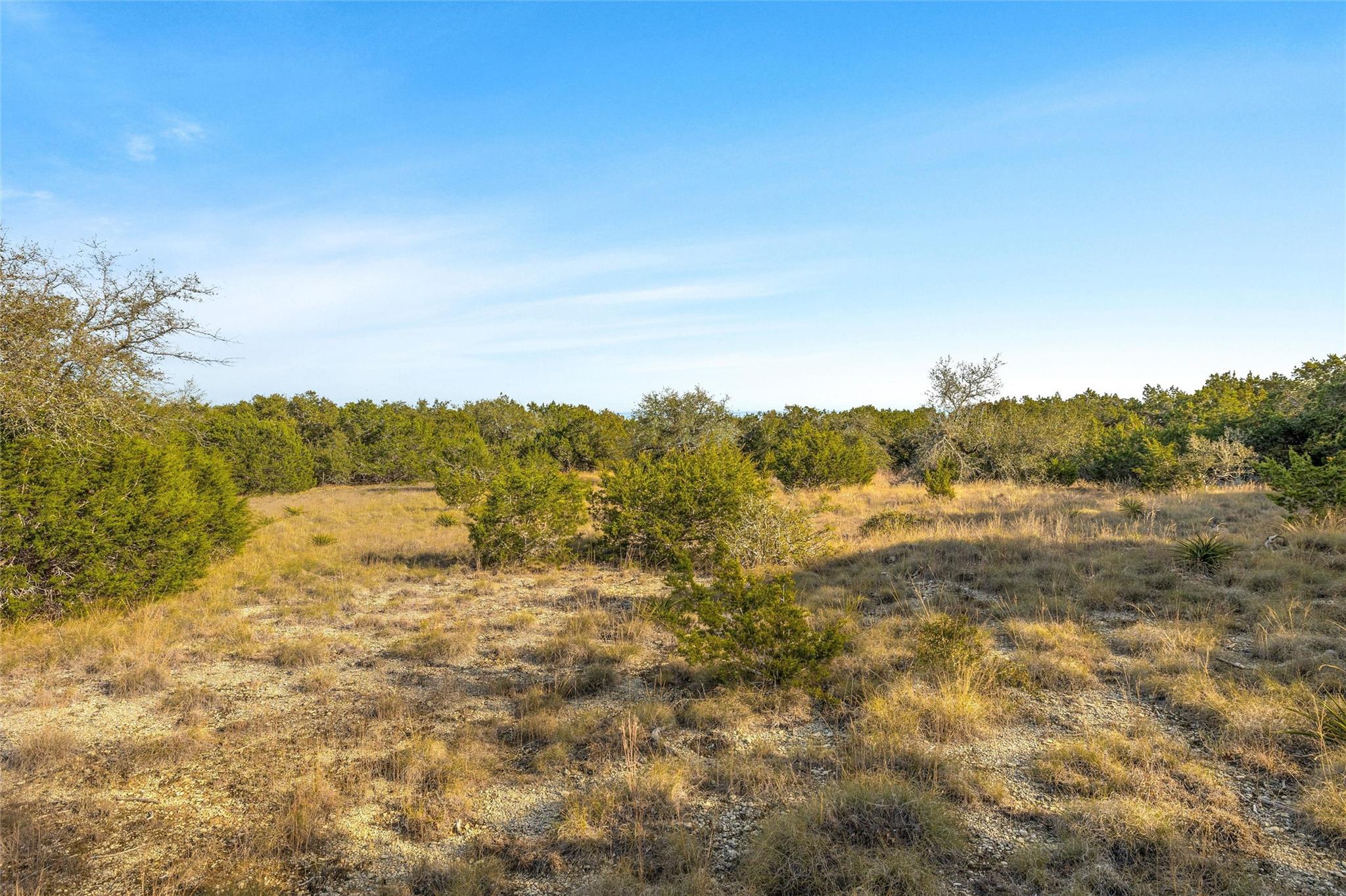 10107 Davy Crockett Dr Property Photo 28