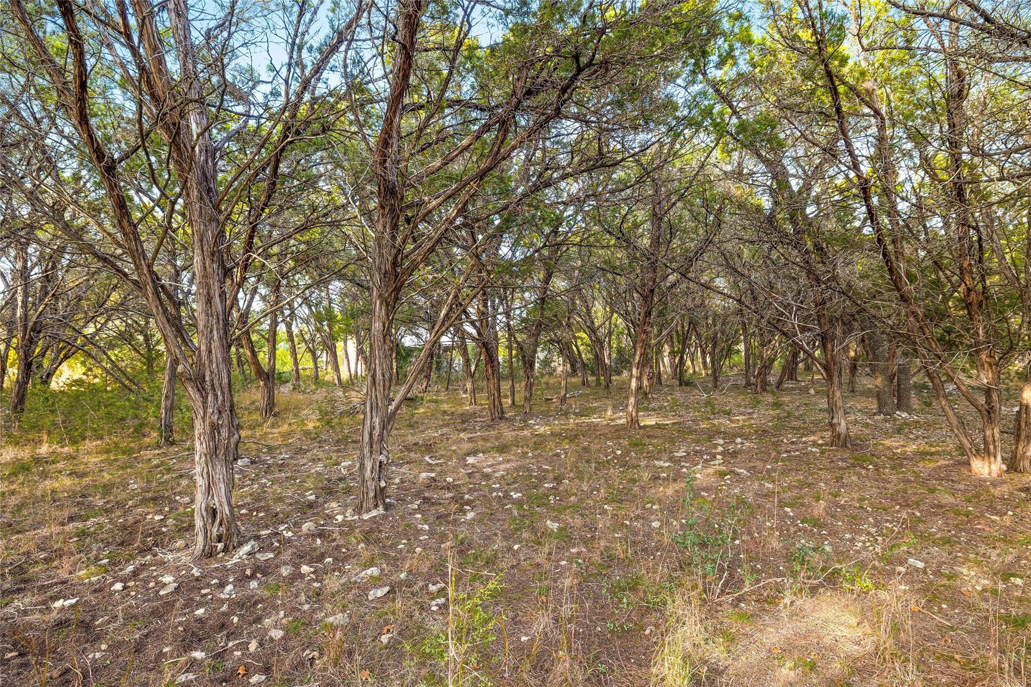 10107 Davy Crockett Dr Property Photo 29
