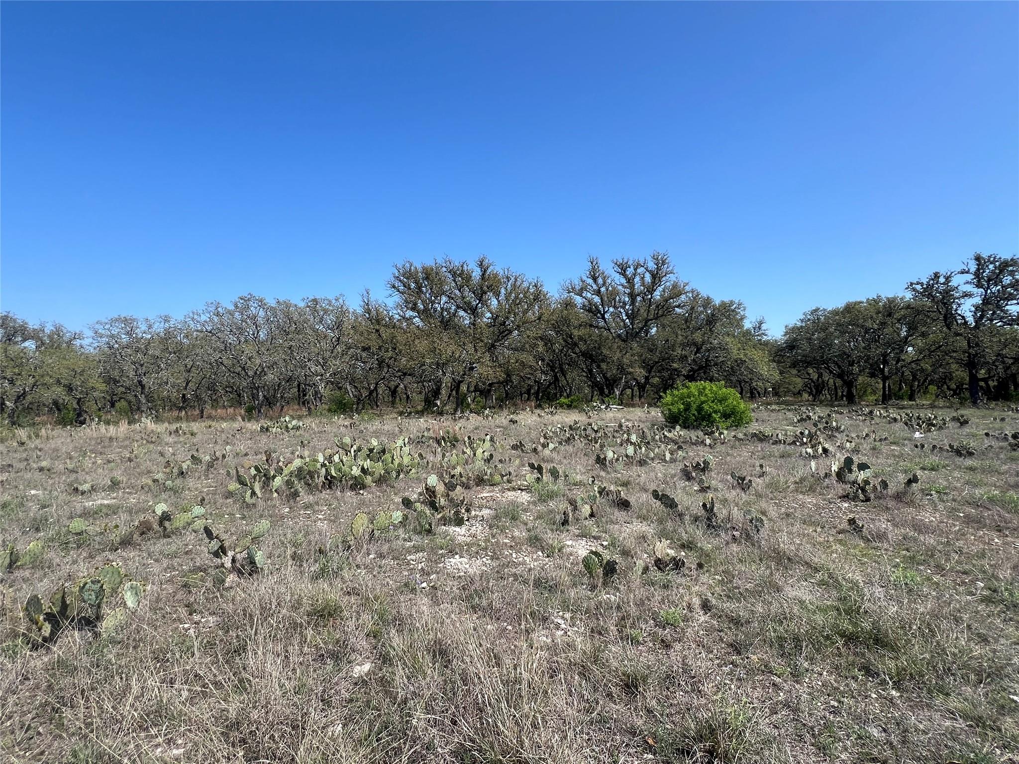Lot 42 Waterbuck Way Property Photo 6