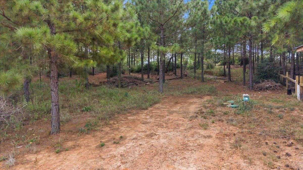 259 Pinehill Dr Property Photo 10