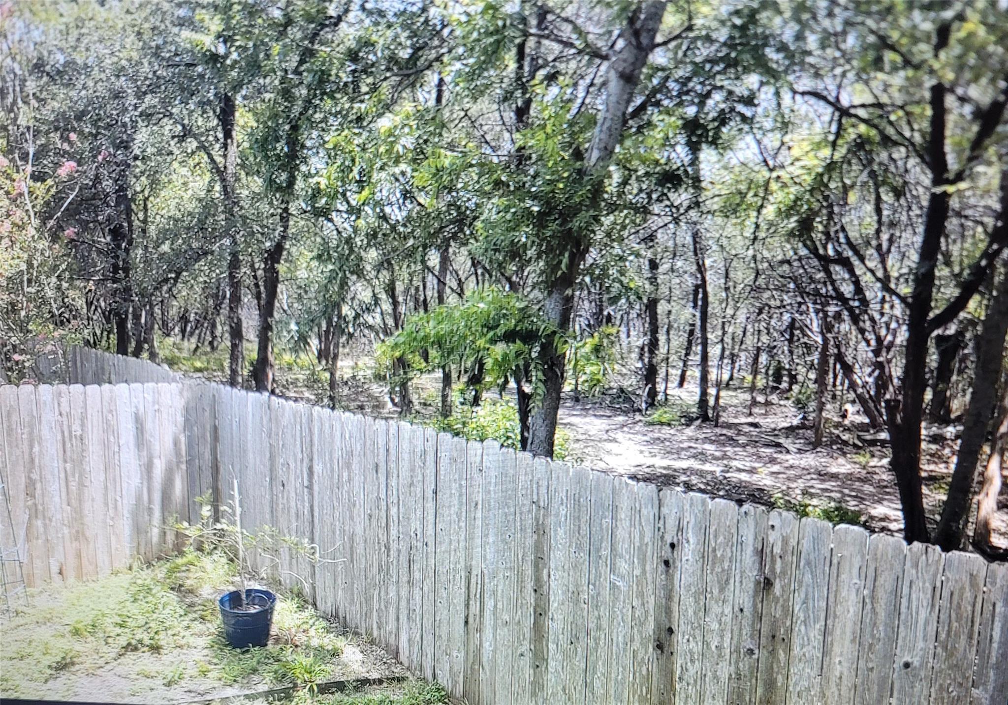 12021 Shady Springs Rd Property Photo 29