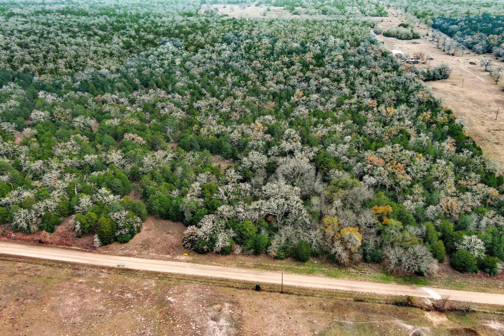 24 Acres Cr 332 Rd Property Photo 3