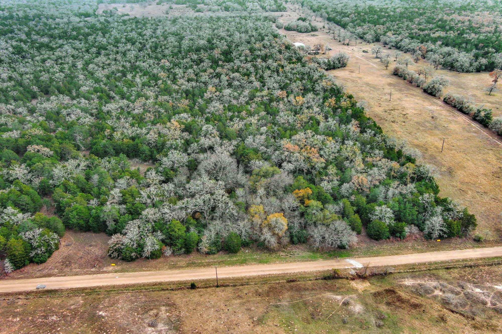 24 Acres Cr 332 Rd Property Photo 5
