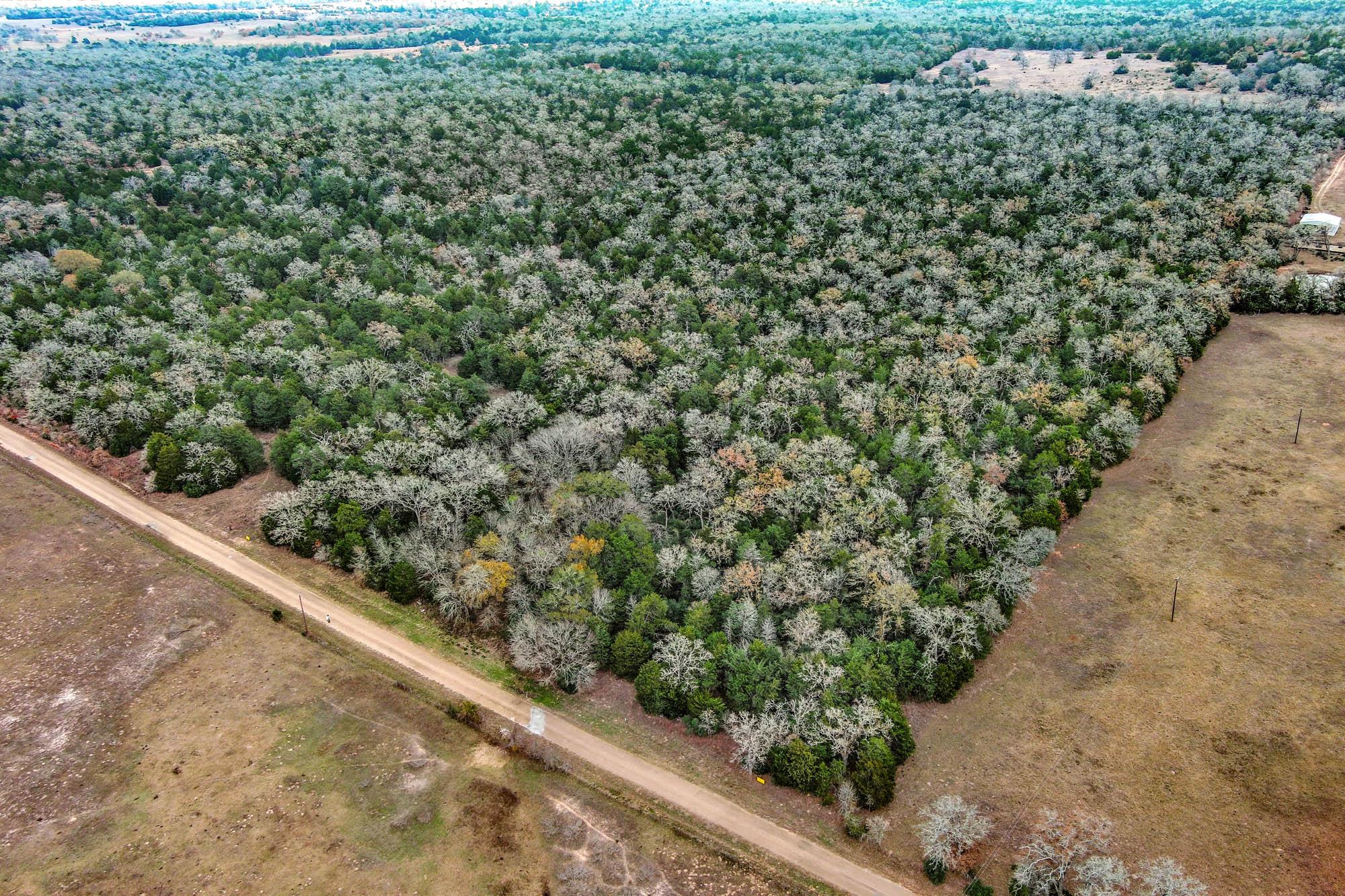 24 Acres Cr 332 Rd Property Photo 6