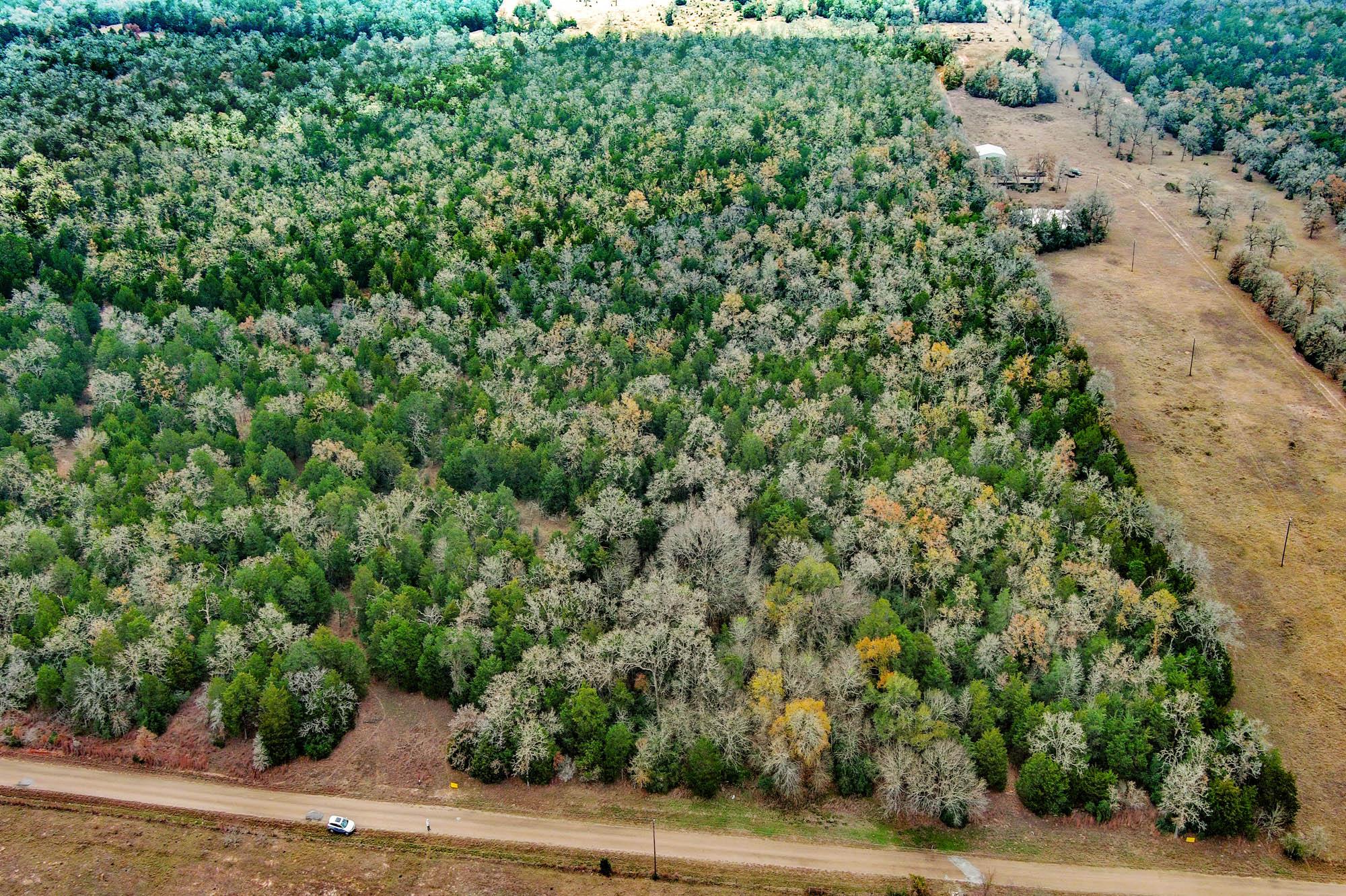 24 Acres Cr 332 Rd Property Photo 8