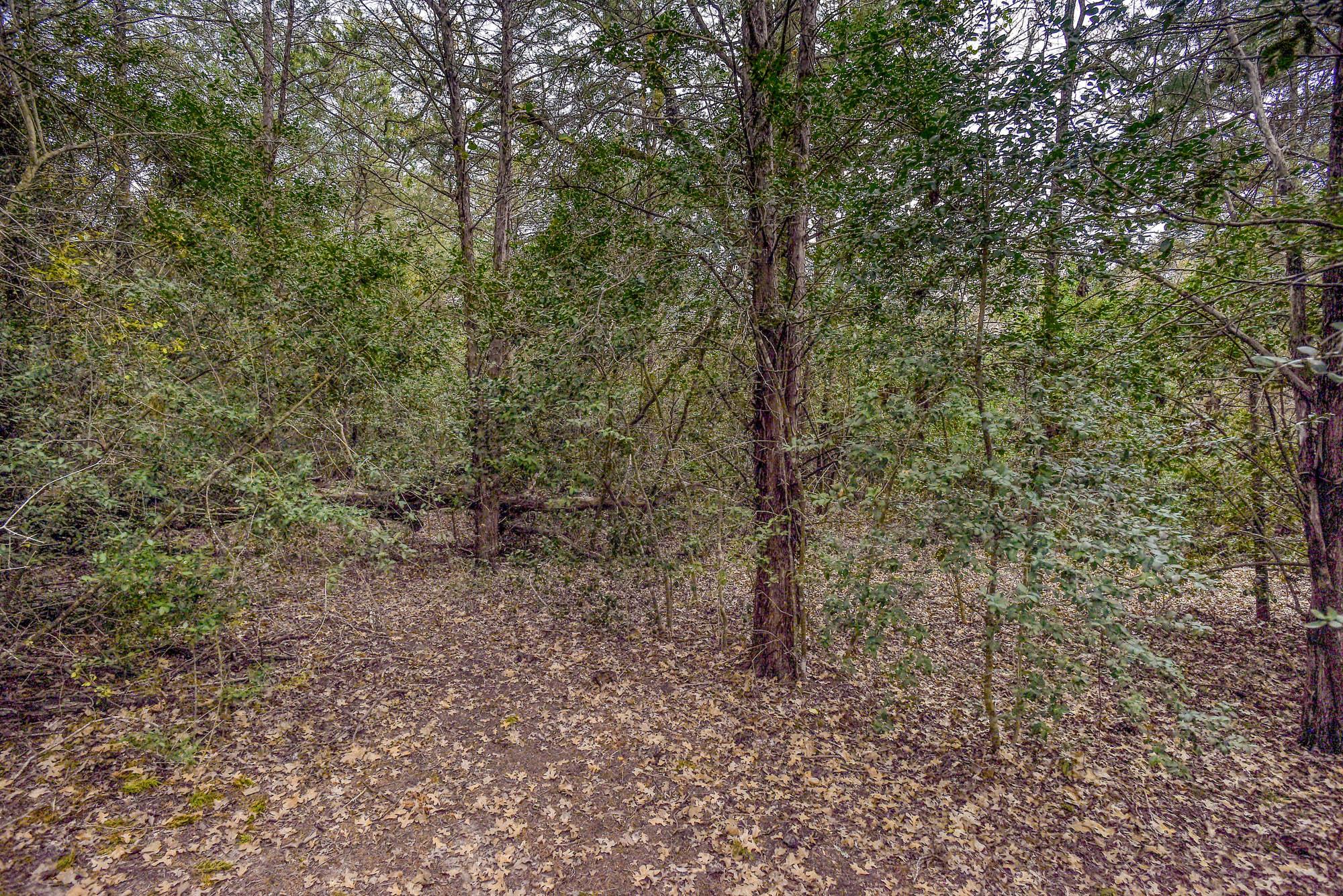 24 Acres Cr 332 Rd Property Photo 11