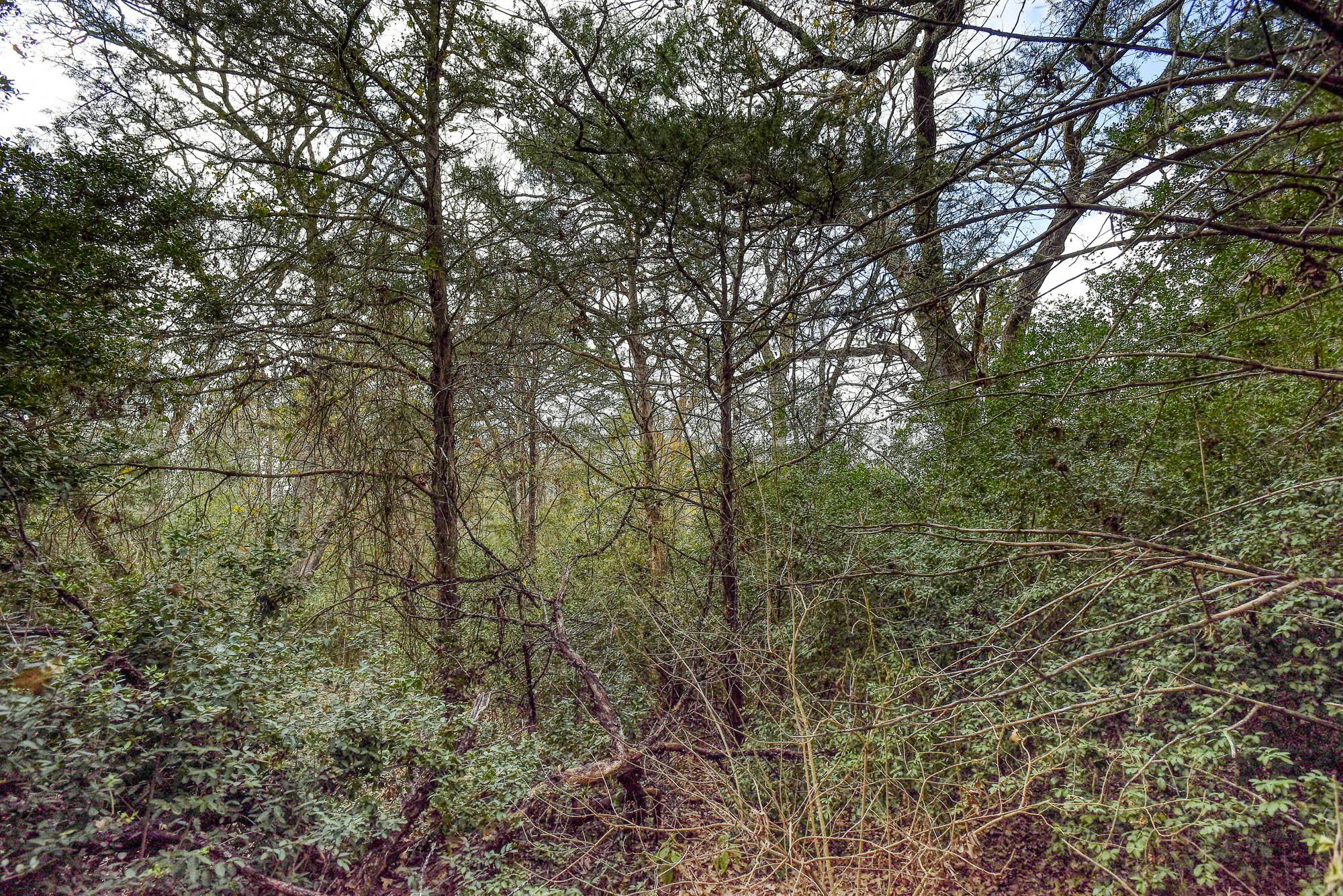 24 Acres Cr 332 Rd Property Photo 12
