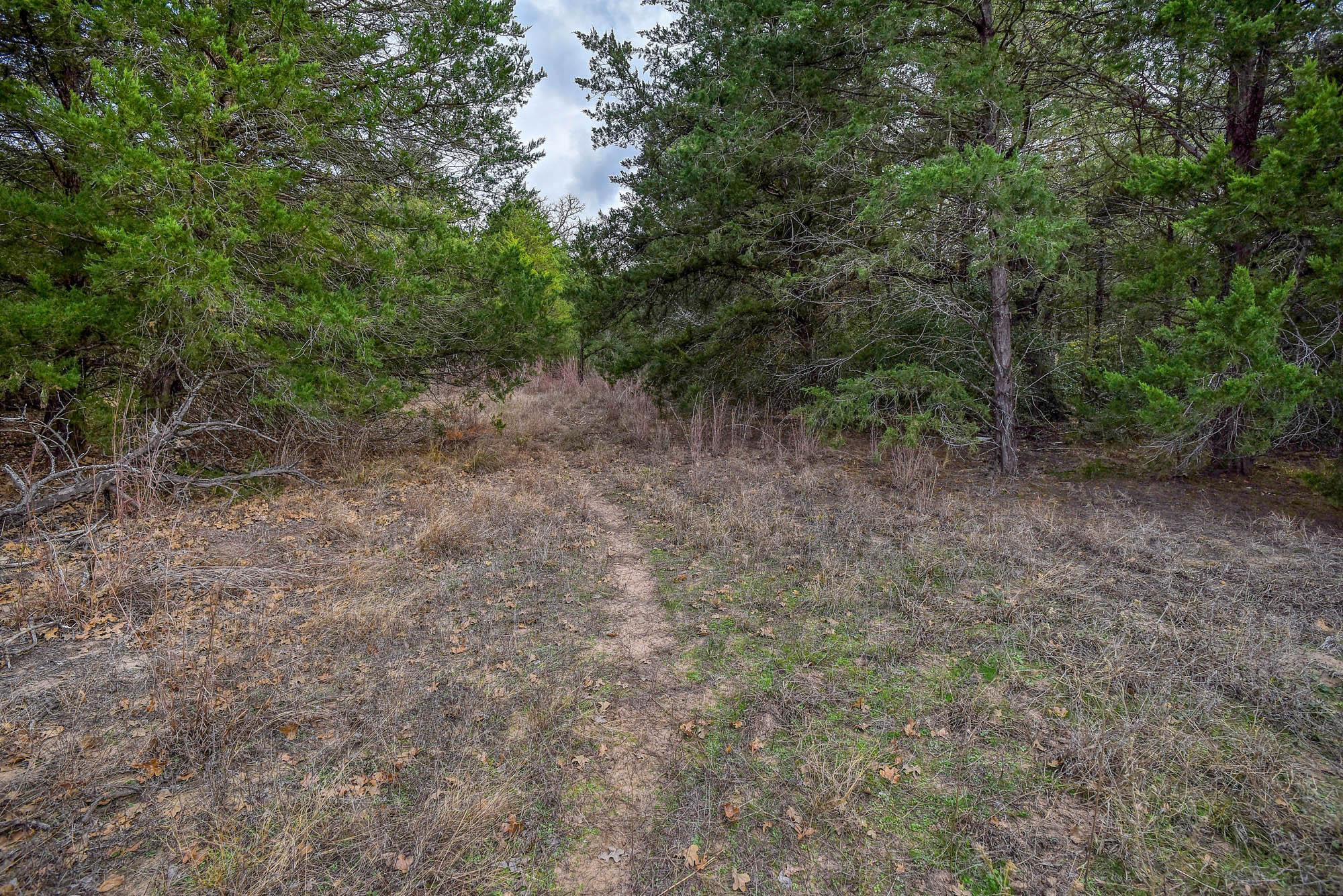 24 Acres Cr 332 Rd Property Photo 15