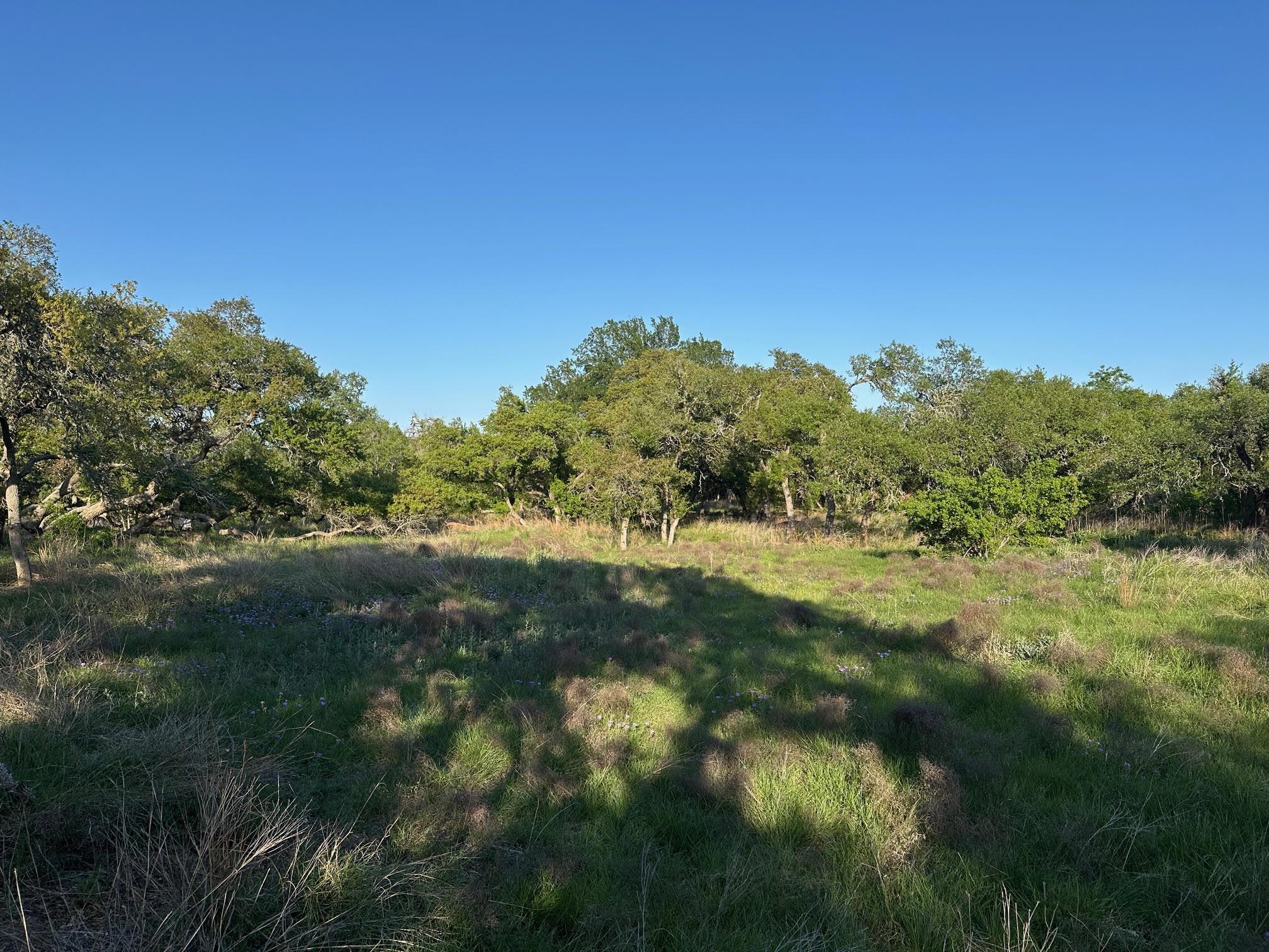 Tbd S Rainbow Ranch Rd Property Photo
