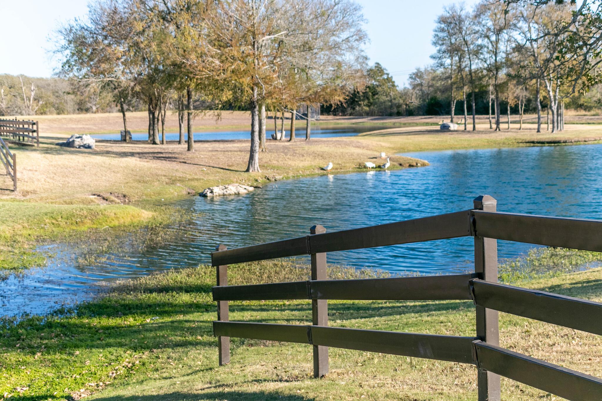 163 Plumbago Loop Property Photo 17