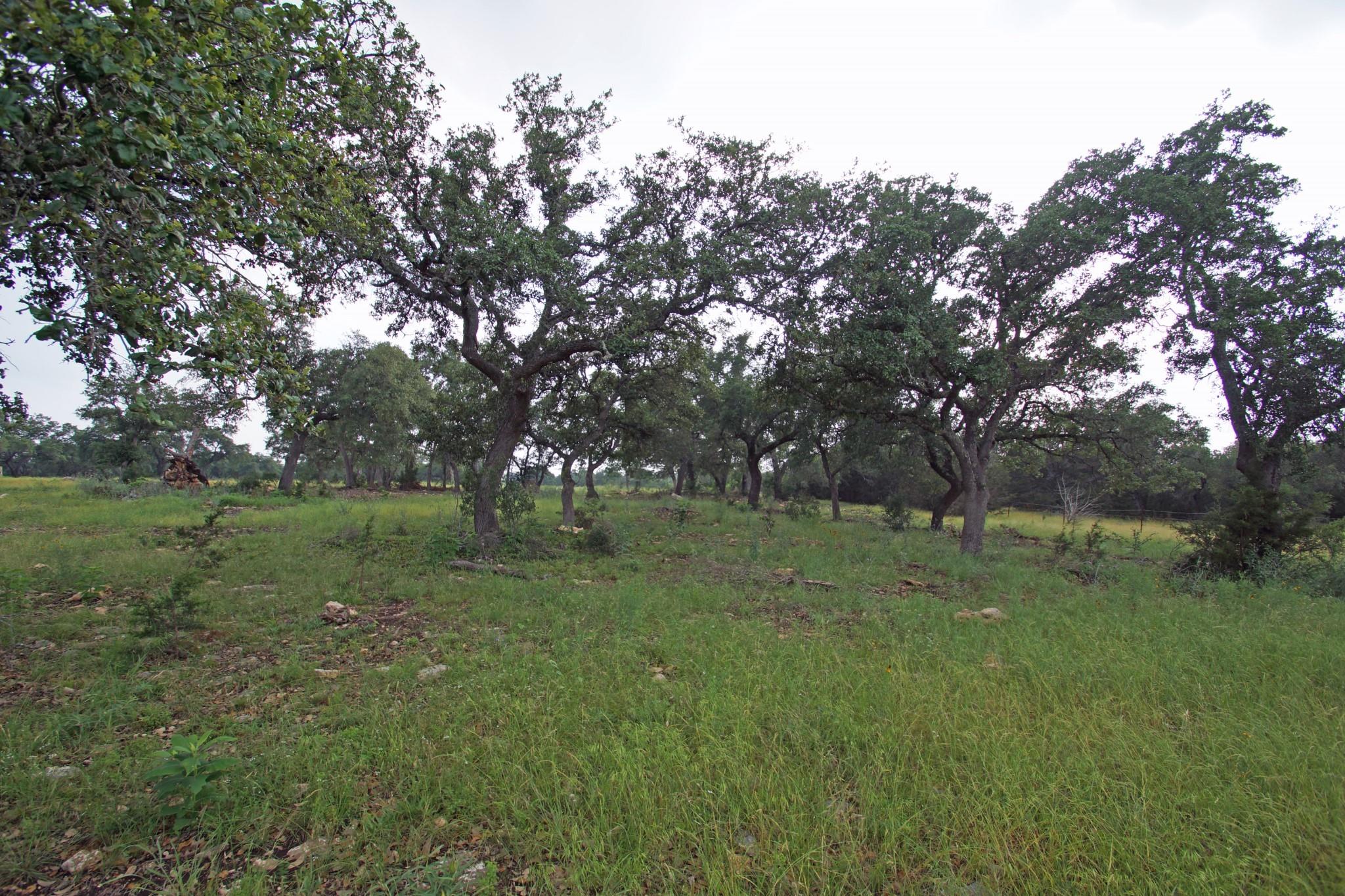 1056 Eagle Point Dr Property Photo 3