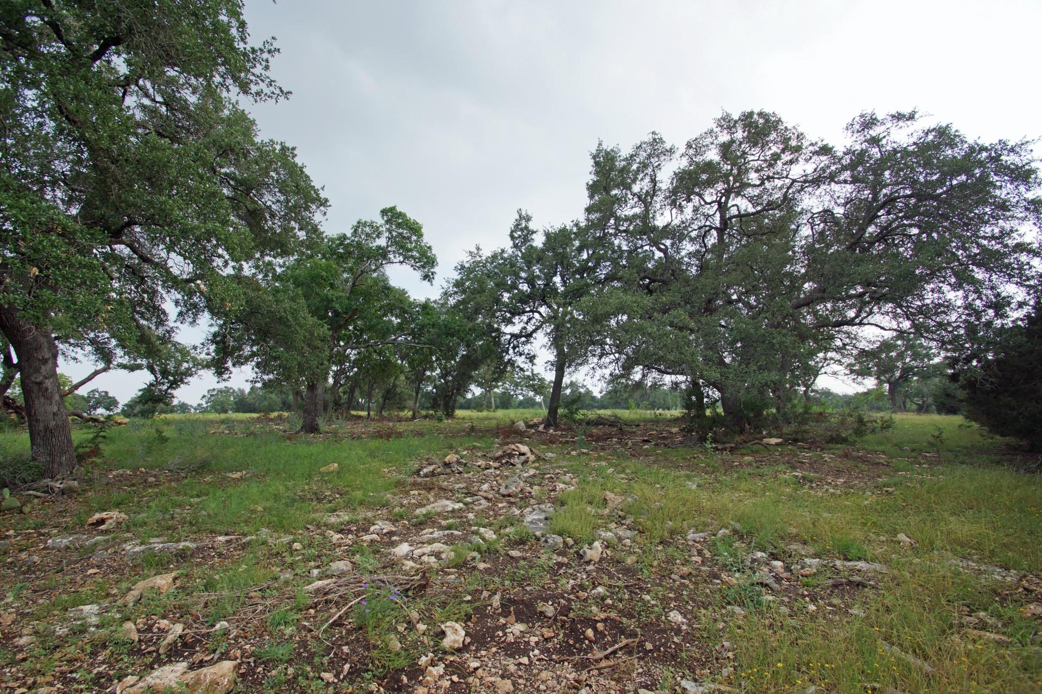 1056 Eagle Point Dr Property Photo 10