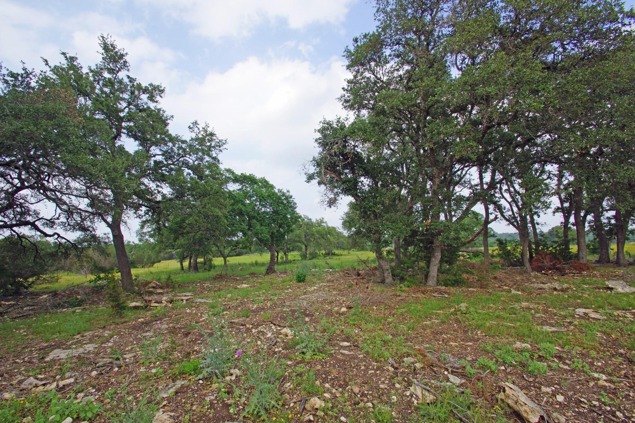 1056 Eagle Point Dr Property Photo 11