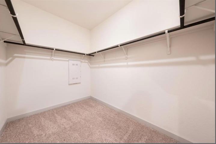 10805 Meris Ln Property Photo 19