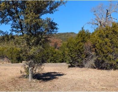 Lot 52 Montana Springs Cv Property Photo 2