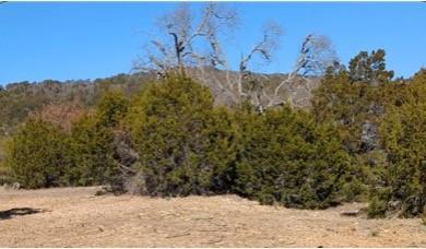 Lot 52 Montana Springs Cv Property Photo 3
