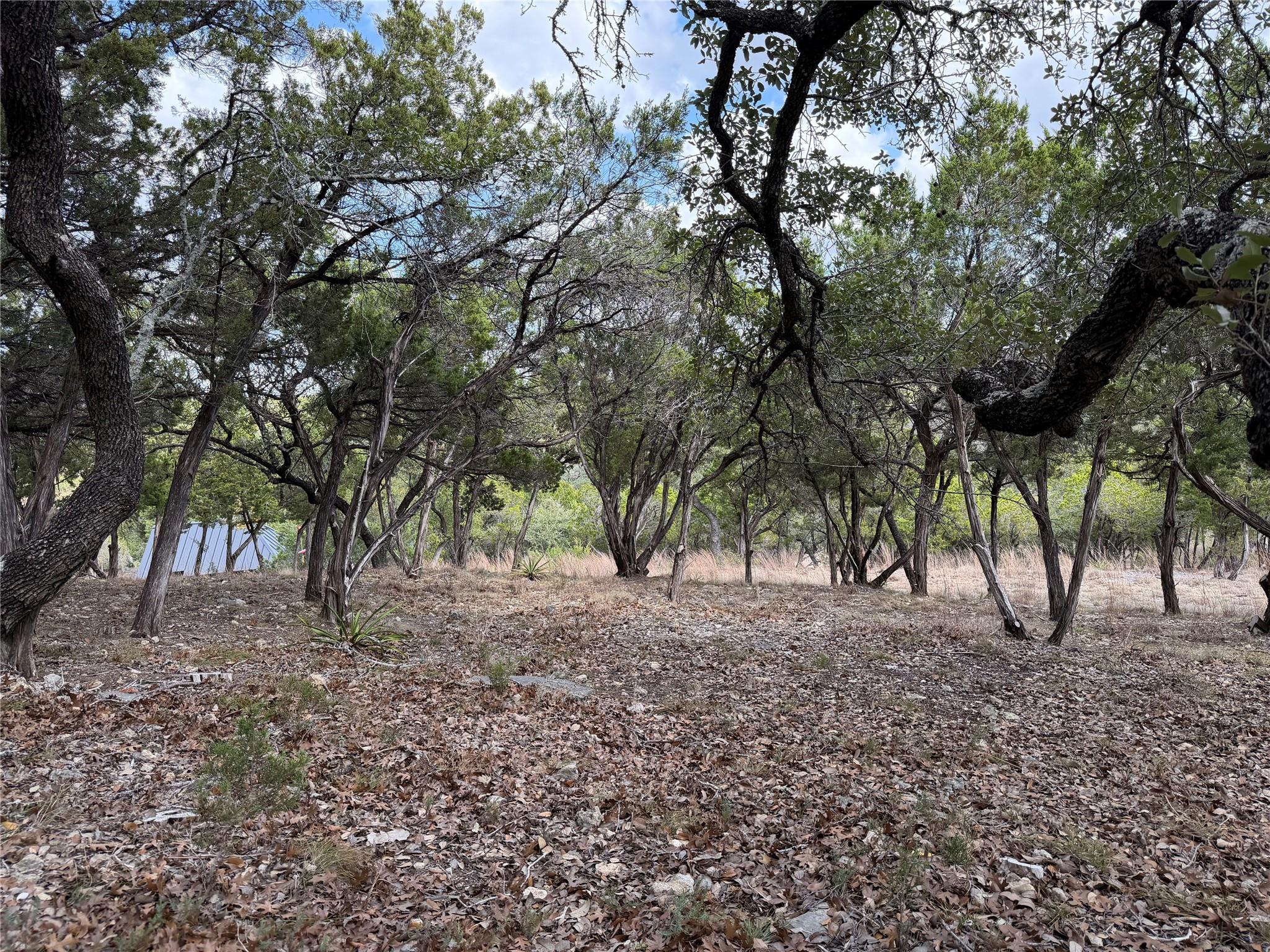 Tbd Rancho Grande Dr Property Photo 4