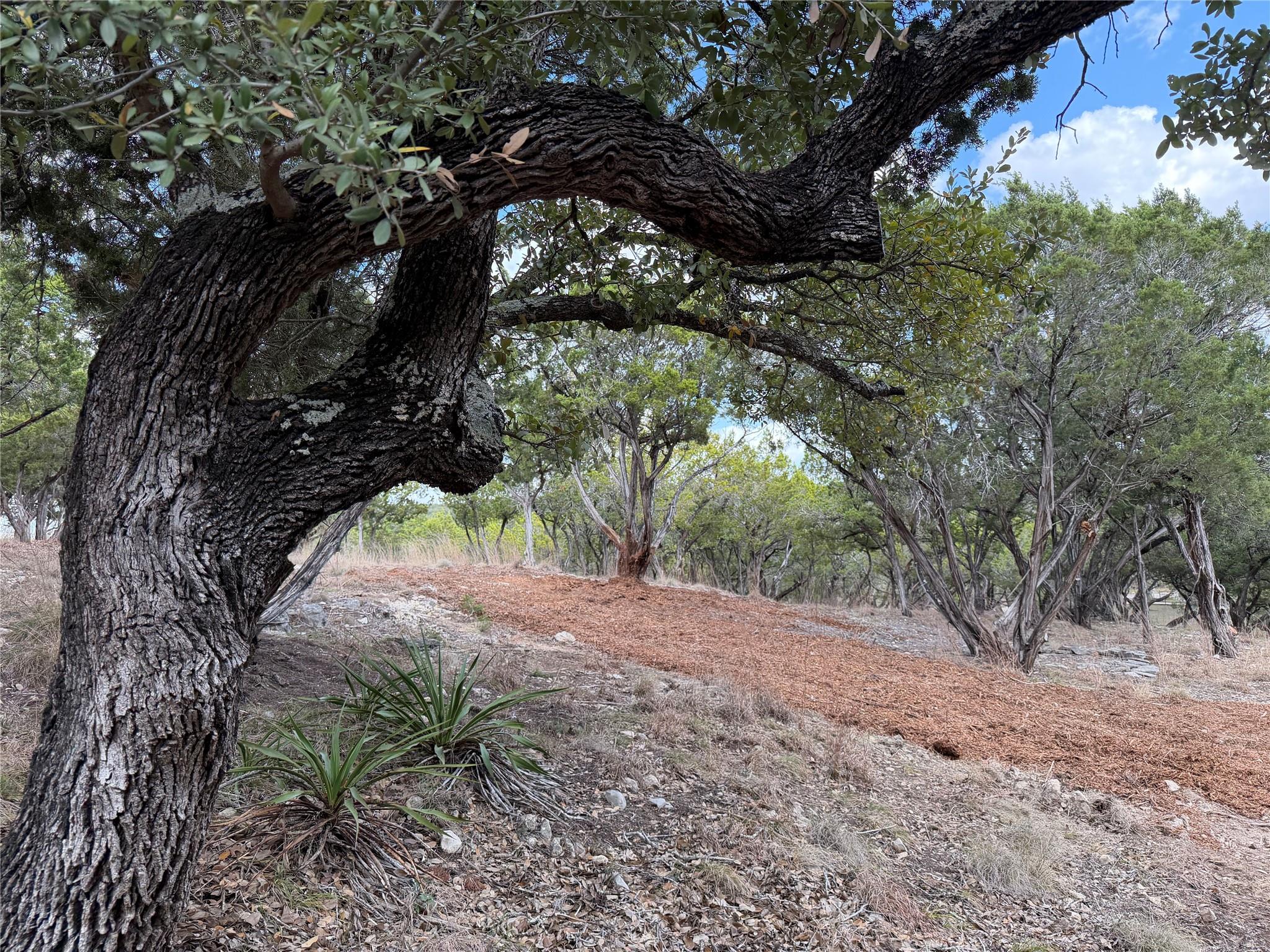 Tbd Rancho Grande Dr Property Photo 6