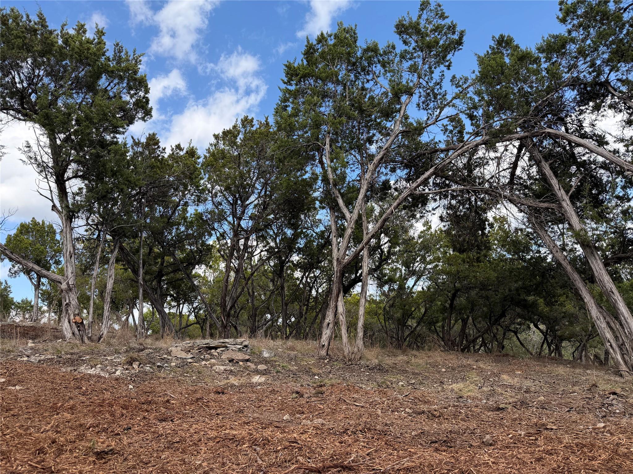 Tbd Rancho Grande Dr Property Photo 7