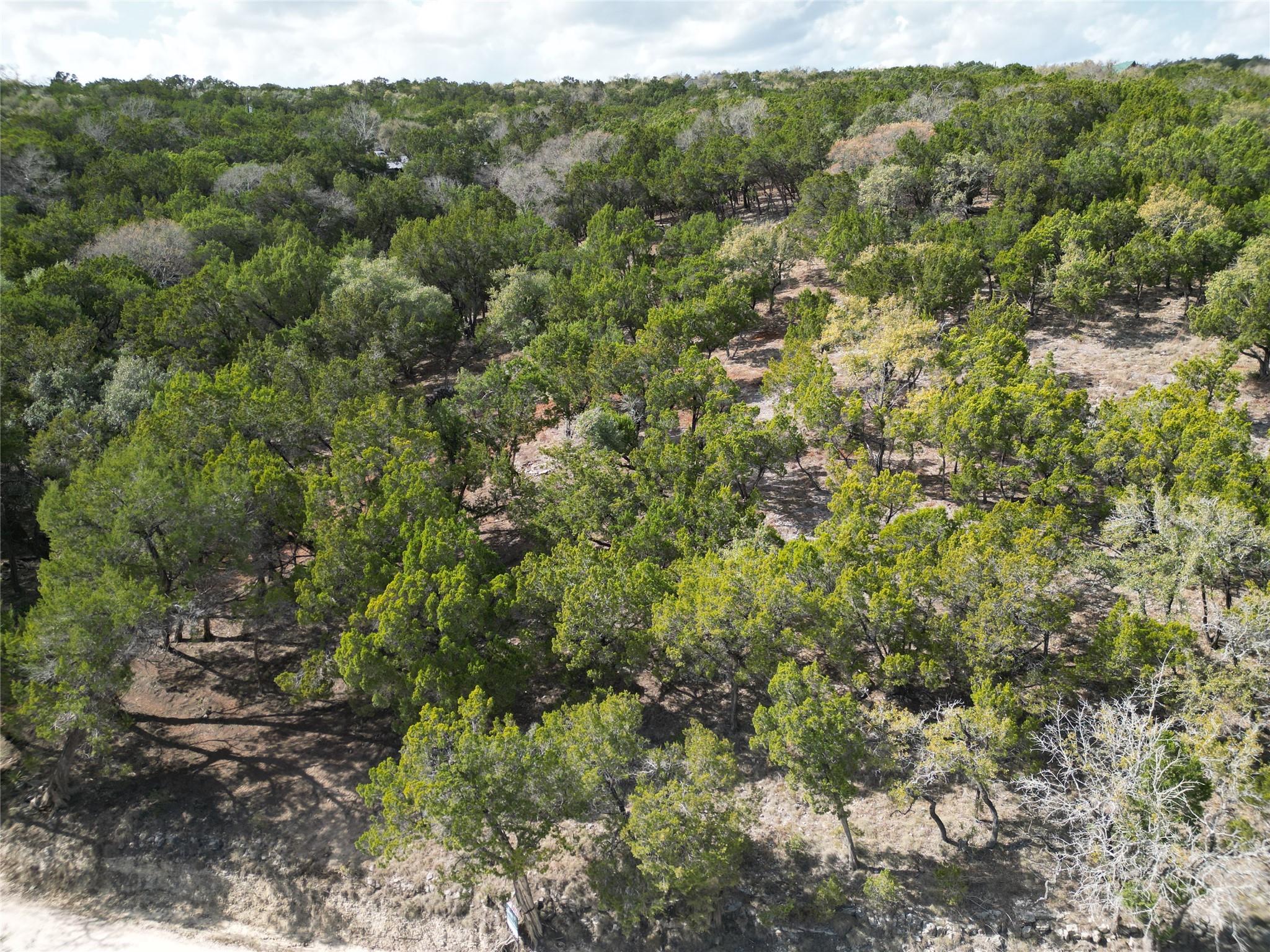 Tbd Rancho Grande Dr Property Photo 11