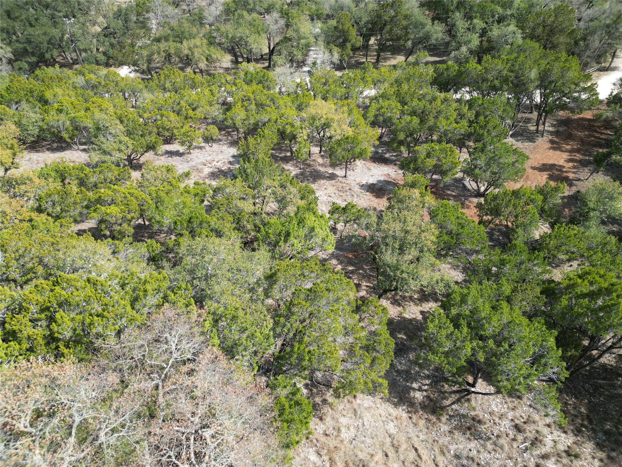 Tbd Rancho Grande Dr Property Photo 13