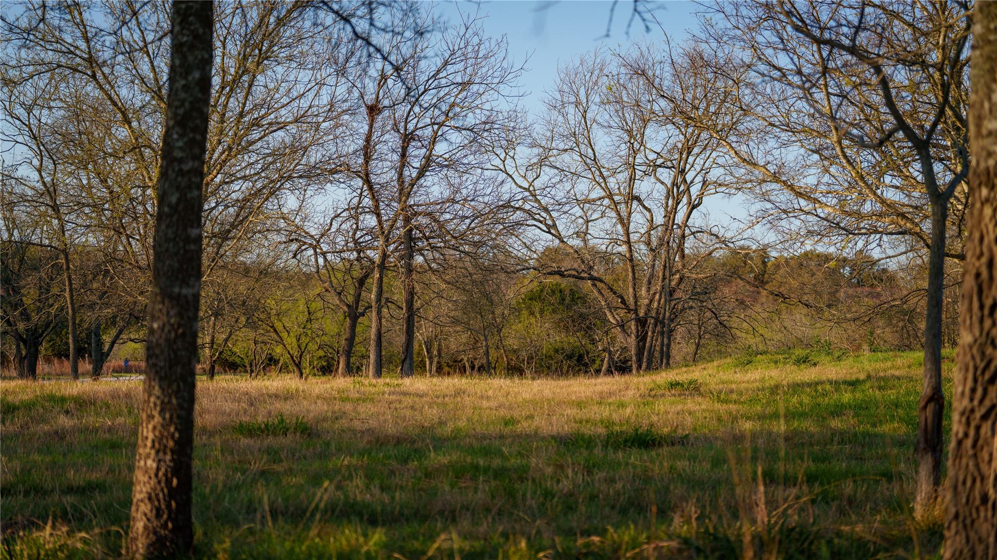 Tbd Lost Acres Loop Loop Property Photo 7