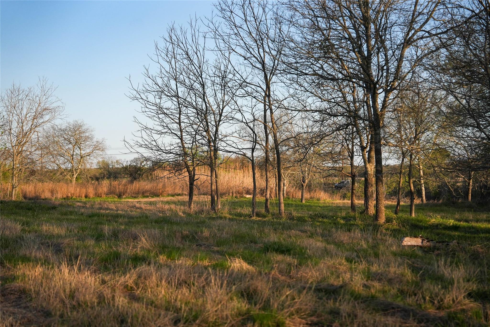 Tbd Lost Acres Loop Loop Property Photo 11