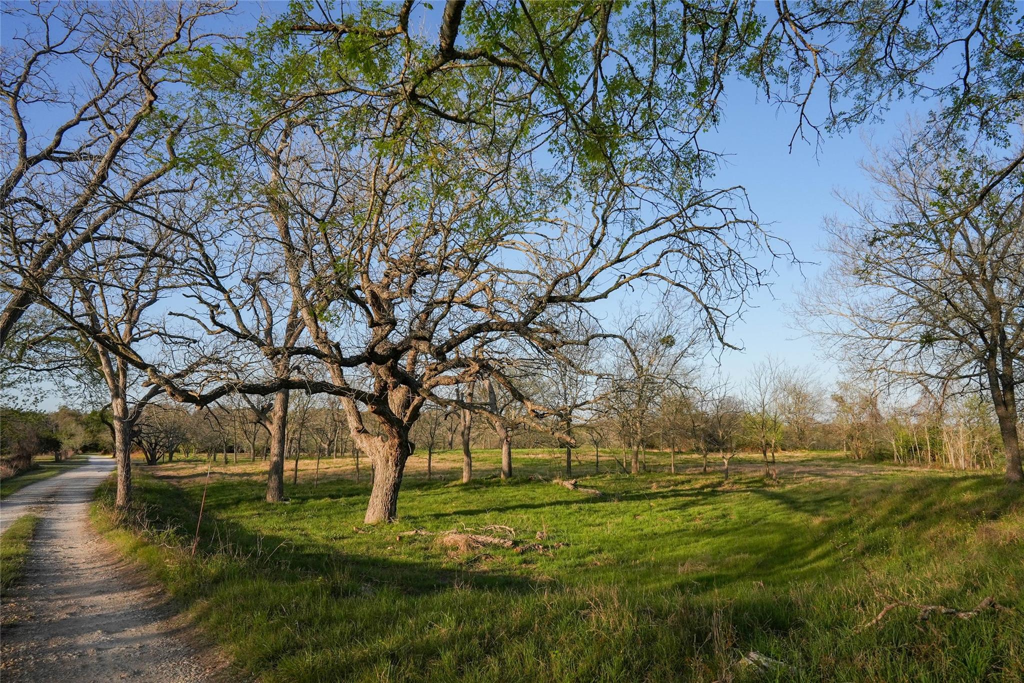 Tbd Lost Acres Loop Loop Property Photo 14